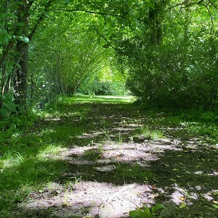 Holiday home Domaine De Vadancourt *