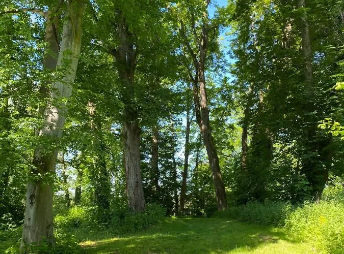 Domaine De Vadancourt Holiday home *