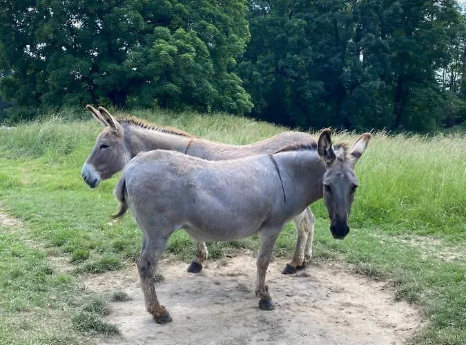 Domaine De Vadancourt Maissemy