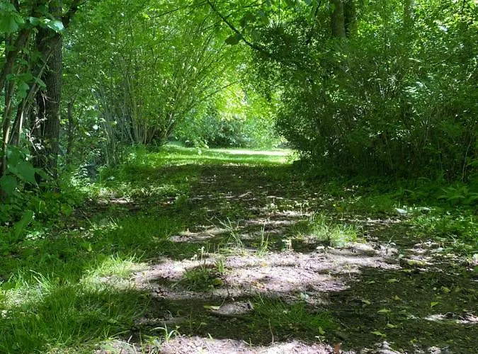 Holiday home Domaine De Vadancourt *