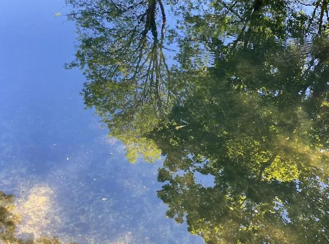 Holiday home Domaine De Vadancourt Maissemy