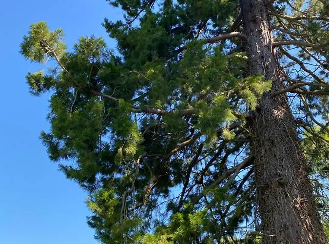 Domaine De Vadancourt Holiday home *