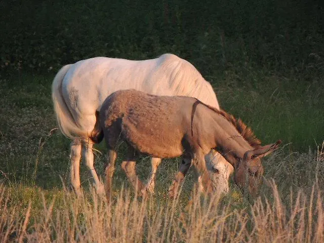 Domaine De Vadancourt * Maissemy